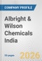 Albright & Wilson Chemicals India Fundamental Company Report Including Financial, SWOT, Competitors and Industry Analysis - Product Thumbnail Image
