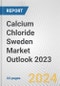 Calcium Chloride Sweden Market Outlook 2023 - Product Thumbnail Image