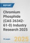 Chromium Phosphide (CAS 26342-61-0) Industry Research 2025: Global and Regional Market Trends 2019-2024 and Forecast to 2029 - Product Thumbnail Image