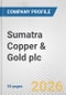Sumatra Copper & Gold plc Fundamental Company Report Including Financial, SWOT, Competitors and Industry Analysis - Product Thumbnail Image