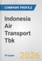 Indonesia Air Transport Tbk Fundamental Company Report Including Financial, SWOT, Competitors and Industry Analysis - Product Thumbnail Image