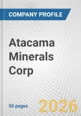 Atacama Minerals Corp. Fundamental Company Report Including Financial, SWOT, Competitors and Industry Analysis- Product Image