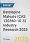 Batelapine Maleate (CAS 120360-10-3) Industry Research 2025: Global and Regional Market Trends 2019-2024 and Forecast to 2029 - Product Image
