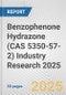 Benzophenone Hydrazone (CAS 5350-57-2) Industry Research 2025: Global and Regional Market Trends 2019-2024 and Forecast to 2029 - Product Image