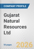 Gujarat Natural Resources Ltd Fundamental Company Report Including Financial, SWOT, Competitors and Industry Analysis- Product Image