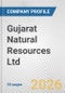 Gujarat Natural Resources Ltd Fundamental Company Report Including Financial, SWOT, Competitors and Industry Analysis - Product Thumbnail Image