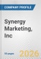 Synergy Marketing, Inc. Fundamental Company Report Including Financial, SWOT, Competitors and Industry Analysis - Product Thumbnail Image