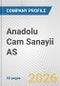 Anadolu Cam Sanayii AS Fundamental Company Report Including Financial, SWOT, Competitors and Industry Analysis - Product Thumbnail Image