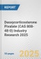 Deoxycorticosterone Pivalate (CAS 808-48-0) Industry Research 2025: Global and Regional Market Trends 2019-2024 and Forecast to 2029 - Product Image