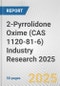 2-Pyrrolidone Oxime (CAS 1120-81-6) Industry Research 2025: Global and Regional Market Trends 2019-2024 and Forecast to 2029 - Product Thumbnail Image