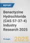 Benactyzine Hydrochloride (CAS 57-37-4) Industry Research 2025: Global and Regional Market Trends 2019-2024 and Forecast to 2029 - Product Thumbnail Image