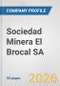 Sociedad Minera El Brocal SA Fundamental Company Report Including Financial, SWOT, Competitors and Industry Analysis - Product Thumbnail Image
