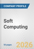 Soft Computing Fundamental Company Report Including Financial, SWOT, Competitors and Industry Analysis- Product Image