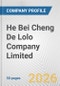 He Bei Cheng De Lolo Company Limited Fundamental Company Report Including Financial, SWOT, Competitors and Industry Analysis - Product Thumbnail Image