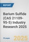 Barium Sulfide (CAS 21109-95-5) Industry Research 2025: Global and Regional Market Trends 2019-2024 and Forecast to 2029 - Product Thumbnail Image