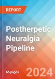 Postherpetic Neuralgia - Pipeline Insight, 2024- Product Image