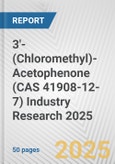 3'-(Chloromethyl)-Acetophenone (CAS 41908-12-7) Industry Research 2025: Global and Regional Market Trends 2019-2024 and Forecast to 2029- Product Image