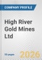 High River Gold Mines Ltd. Fundamental Company Report Including Financial, SWOT, Competitors and Industry Analysis - Product Thumbnail Image
