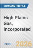 High Plains Gas, Incorporated Fundamental Company Report Including Financial, SWOT, Competitors and Industry Analysis- Product Image