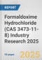 Formaldoxime Hydrochloride (CAS 3473-11-8) Industry Research 2025: Global and Regional Market Trends 2019-2024 and Forecast to 2029 - Product Image