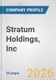Stratum Holdings, Inc. Fundamental Company Report Including Financial, SWOT, Competitors and Industry Analysis- Product Image