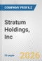 Stratum Holdings, Inc. Fundamental Company Report Including Financial, SWOT, Competitors and Industry Analysis - Product Thumbnail Image