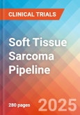 Soft Tissue Sarcoma - Pipeline Insight, 2024- Product Image