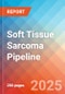 Soft Tissue Sarcoma - Pipeline Insight, 2024 - Product Image