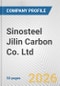 Sinosteel Jilin Carbon Co. Ltd. Fundamental Company Report Including Financial, SWOT, Competitors and Industry Analysis - Product Thumbnail Image