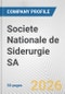 Societe Nationale de Siderurgie SA Fundamental Company Report Including Financial, SWOT, Competitors and Industry Analysis - Product Thumbnail Image