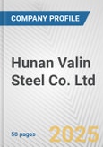 Hunan Valin Steel Co. Ltd. Fundamental Company Report Including Financial, SWOT, Competitors and Industry Analysis- Product Image