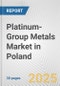 Platinum-Group Metals Market in Poland: 2019-2024 Review and Forecast to 2029 - Product Thumbnail Image