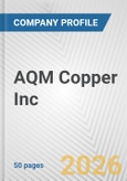 AQM Copper Inc. Fundamental Company Report Including Financial, SWOT, Competitors and Industry Analysis- Product Image