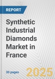 Synthetic Industrial Diamonds Market in France: 2019-2024 Review and Forecast to 2029- Product Image