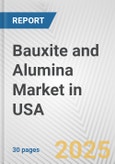 Bauxite and Alumina Market in USA: 2019-2024 Review and Forecast to 2029- Product Image