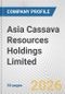 Asia Cassava Resources Holdings Limited Fundamental Company Report Including Financial, SWOT, Competitors and Industry Analysis - Product Thumbnail Image