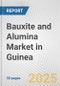 Bauxite and Alumina Market in Guinea: 2019-2024 Review and Forecast to 2029 - Product Thumbnail Image