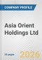 Asia Orient Holdings Ltd. Fundamental Company Report Including Financial, SWOT, Competitors and Industry Analysis - Product Thumbnail Image