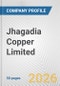 Jhagadia Copper Limited Fundamental Company Report Including Financial, SWOT, Competitors and Industry Analysis - Product Thumbnail Image