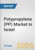 Polypropylene (PP) Market in Israel: 2019-2024 Review and Forecast to 2029- Product Image