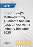 Dihydrobis-(2-Methoxyethoxy)-Aluminate Sodium (CAS 22722-98-1) Industry Research 2025: Global and Regional Market Trends 2019-2024 and Forecast to 2029- Product Image