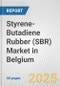 Styrene-Butadiene Rubber (SBR) Market in Belgium: 2019-2024 Review and Forecast to 2029 - Product Thumbnail Image