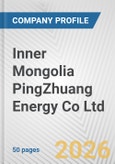 Inner Mongolia PingZhuang Energy Co Ltd. Fundamental Company Report Including Financial, SWOT, Competitors and Industry Analysis- Product Image