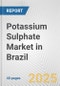 Potassium Sulphate Market in Brazil: 2019-2024 Review and Forecast to 2029 - Product Thumbnail Image