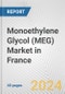 Monoethylene Glycol (MEG) Market in France: 2017-2023 Review and Forecast to 2027 - Product Thumbnail Image