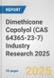 Dimethicone Copolyol (CAS 64365-23-7) Industry Research 2025: Global and Regional Market Trends 2019-2024 and Forecast to 2029 - Product Image
