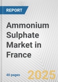 Ammonium Sulphate Market in France: 2019-2024 Review and Forecast to 2029- Product Image