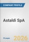 Astaldi SpA Fundamental Company Report Including Financial, SWOT, Competitors and Industry Analysis - Product Thumbnail Image