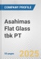 Asahimas Flat Glass tbk PT Fundamental Company Report Including Financial, SWOT, Competitors and Industry Analysis - Product Thumbnail Image