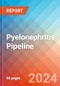 Pyelonephritis - Pipeline Insight, 2024 - Product Image